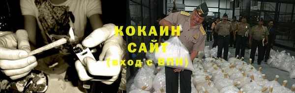ПСИЛОЦИБИНОВЫЕ ГРИБЫ Верхний Тагил