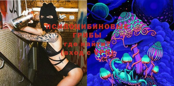 ешки Верея