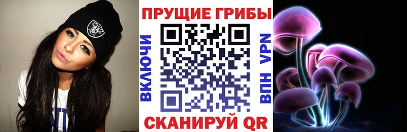 цены   Печора  Галлюциногенные грибы Psilocybe 